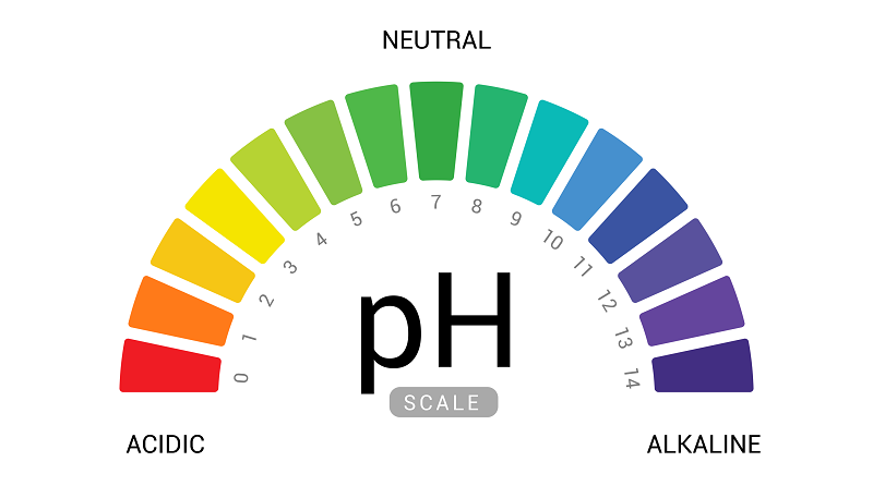 Độ pH của da