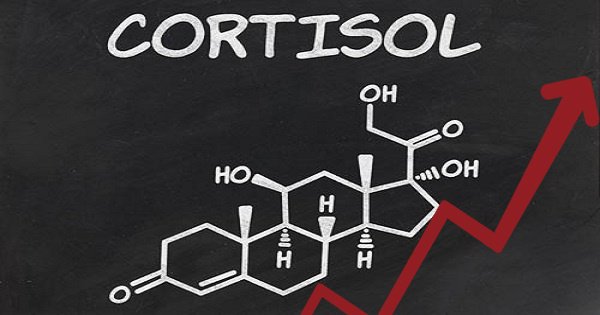 Nồng độ Cortisol cao có thể khiến bạn căng thẳng: Hãy khắc phục ngay tại nhà bằng những thực phẩm lành mạnh này - Ảnh 1.