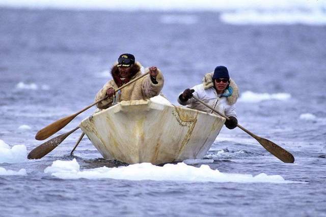 Công nghệ sơ khai: Bí ẩn về mũi lao làm từ gạc tuần lộc của người Inuit - Ảnh 5.